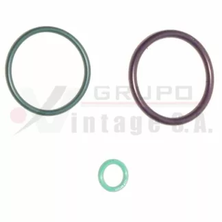 Kit de injector o-ring C10 C12