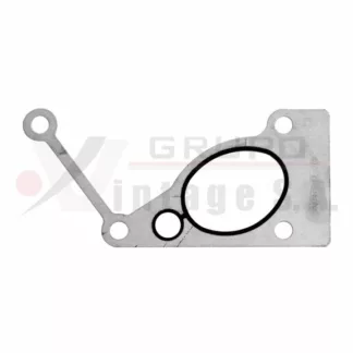 Empaque de conexión tuberia de agua Cummins ISX