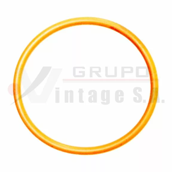 O-ring de inyector motor Detroit S60 (usa 1 c/inyector)