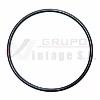 O-ring de inyector motor Detroit S60 (usa 2 c/inyector)