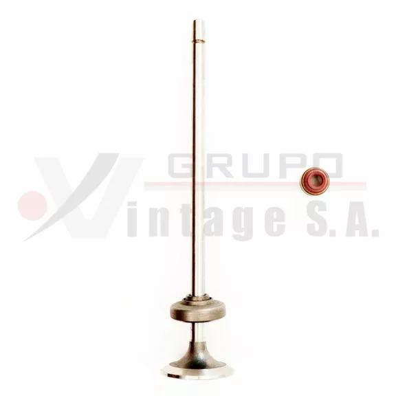 Kit de válvula de admisión Detroit S60