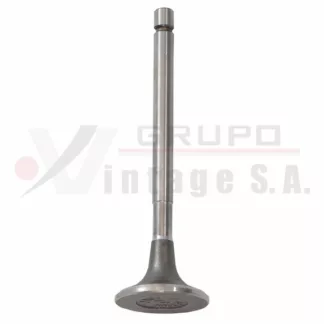 Válvula de escape Isuzu 4JB1