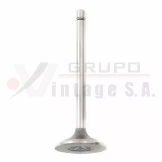 Válvula de admisión Isuzu 4JB1