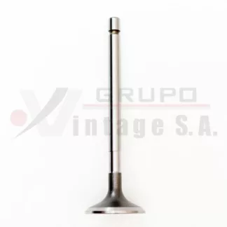 Válvula de escape Isuzu 4HE1/4HF1/6HE1