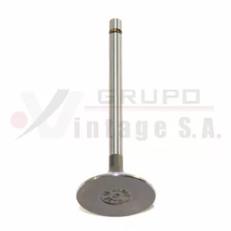 Válvula de admisión Isuzu 4HE1/4HF1/6HE1