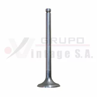 Válvula de escape Isuzu 4BD1/4BD2/6BD1