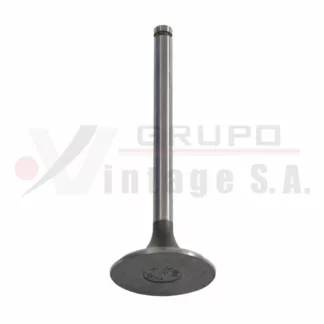 Válvula de admisión Nissan NE6-T