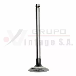 Válvula de escape Mitsubishi 4D31/4D34-T