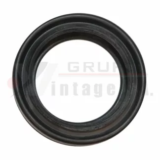 Guardapolvo de frenos rueda trasera Hino FF