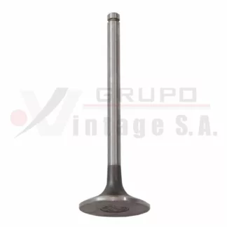 Válvula de admisión Hino EH700