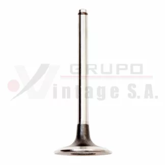 Válvula de admisión Hino W04D/W06D