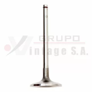 Válvula de admisión Hino H06/H07C-T