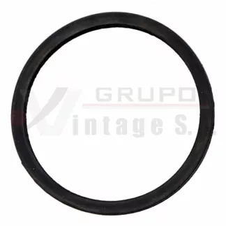 Empaque de termostato Hino FF