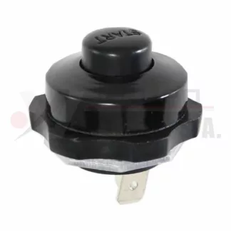 Botón de starter con nombre