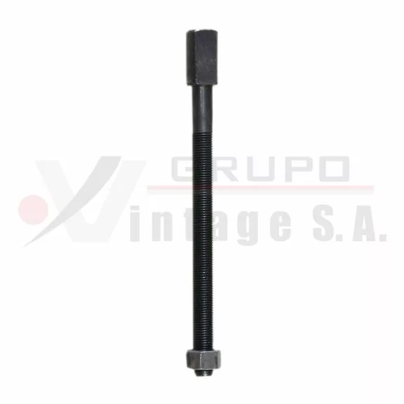 Tornillo de centro con tuerca 3/8 x 5 cabeza especial 1"