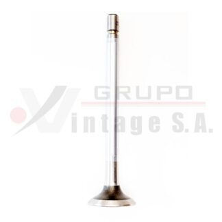 Válvula de escape OM352/366