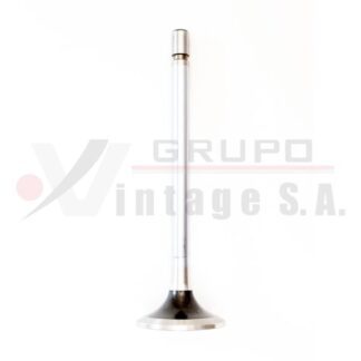 Válvula de admisión OM366