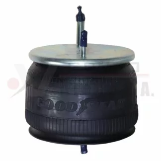 Bolsa de aire Kenworth