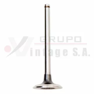 Válvula de escape Hino W04D/W06D