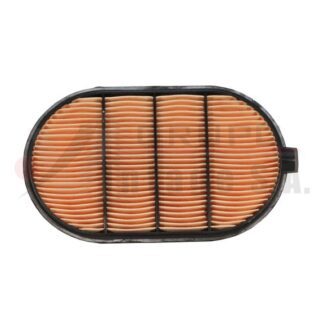 Filtro de aire AF4199 Fleetguard Caterpillar-C7/AGCO