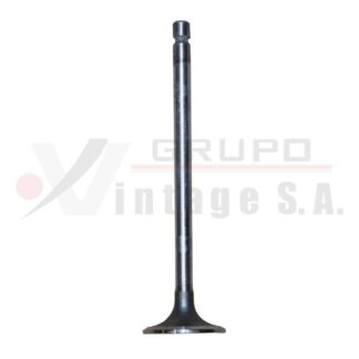 Válvula de admisión ISB (12)