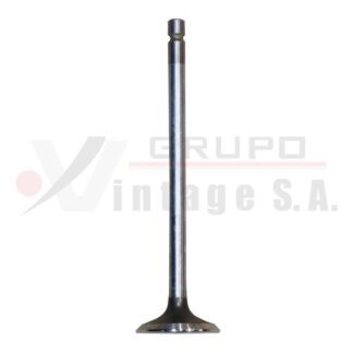 Válvula de escape ISB (12)