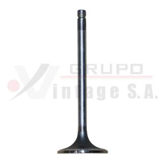 Válvula de admisión 6CTA 8.3