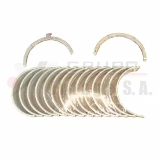 Set de tejas centrales STD L10/M11