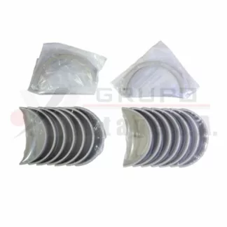 Set de tejas centrales STD motor L10/M11 con botia al centro