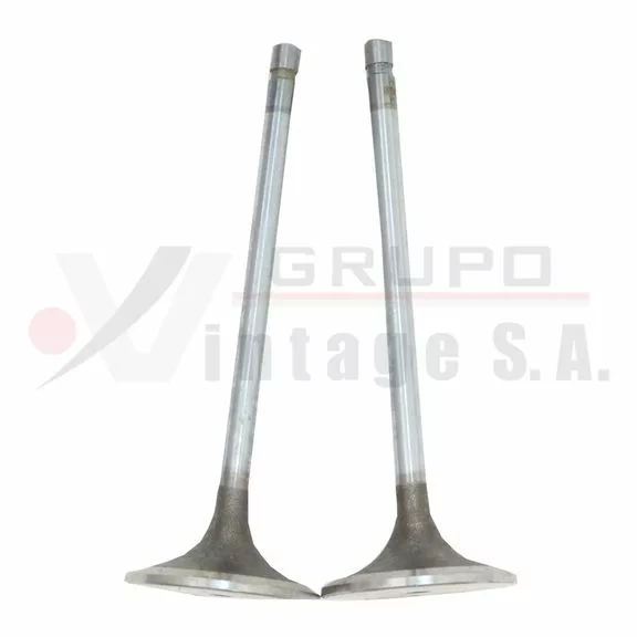 Válvula de admisión DT408 delgada =491003 Pai 5/16 (No Pedir)